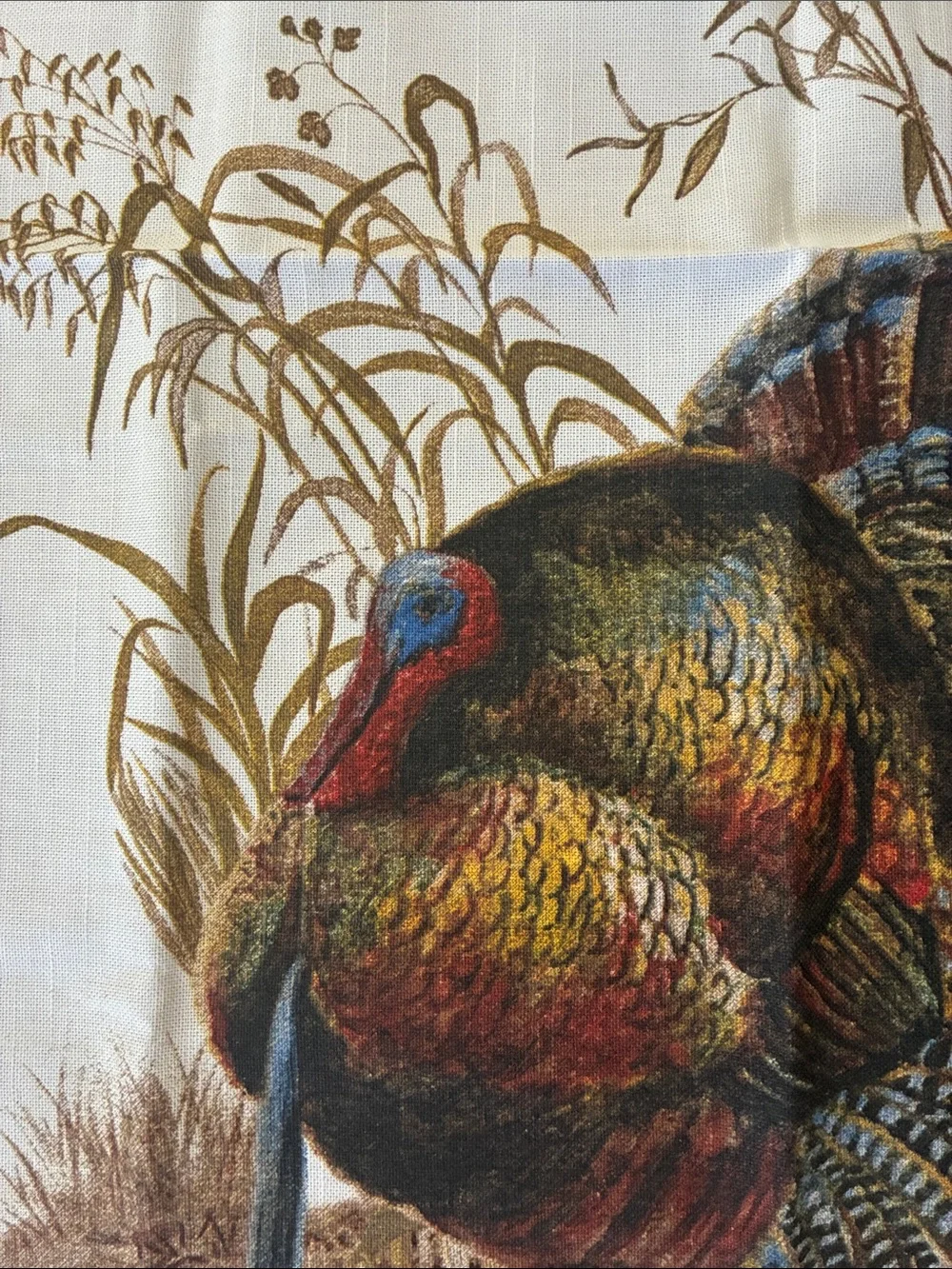 Williams Sonoma great brand